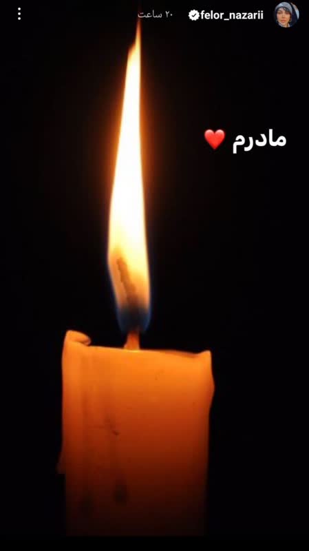 فلور نظری